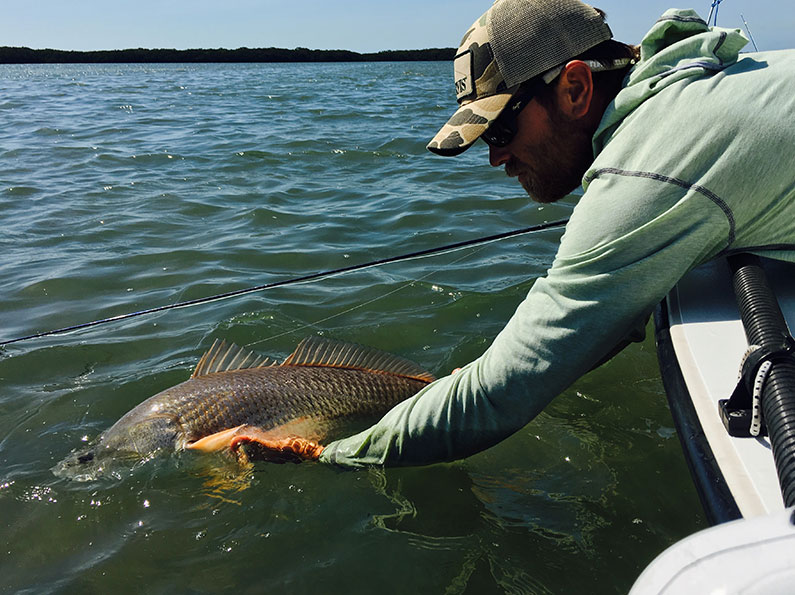 Tampa Bay Fly Fishing / Light Tackle Report April Captain Ethan