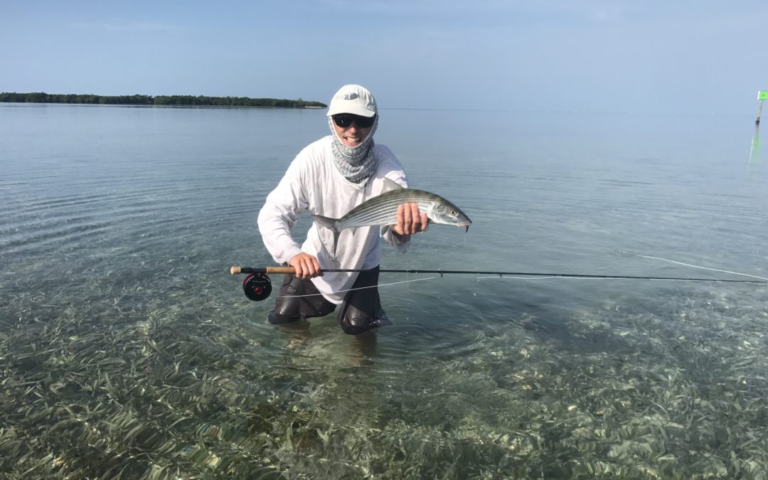 G. Loomis GLX Rod