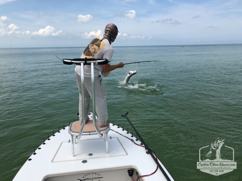 Tampa Bay Fly Fishing Report – June/July