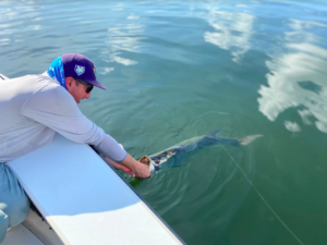 fly catching for tarpon fly catching for tarpon