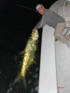 man on a boat catching tarpon at night man on a boat catching tarpon at night