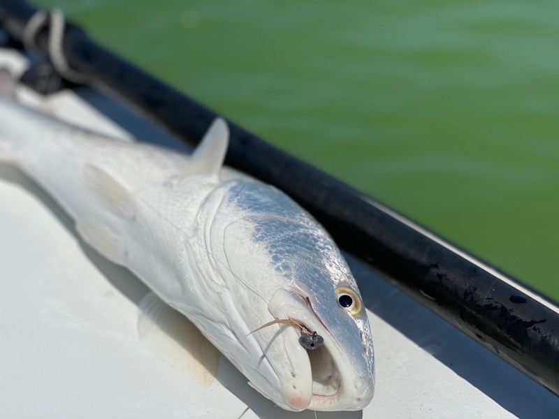 September Fishing Report