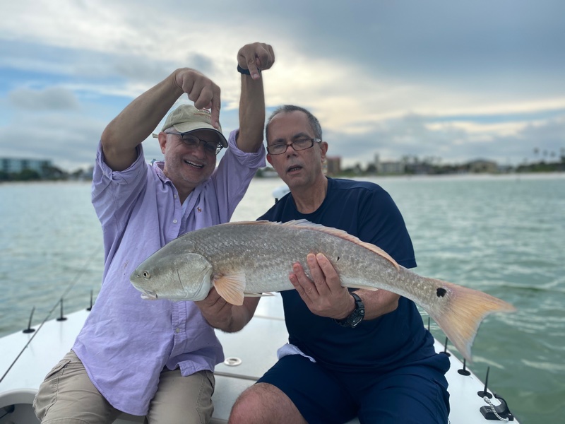 Big Redfish Clearwater Beach fish