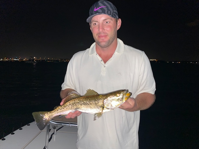 Night time Snook Fishing fish